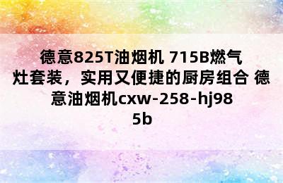 德意825T油烟机+715B燃气灶套装，实用又便捷的厨房组合 德意油烟机cxw-258-hj985b